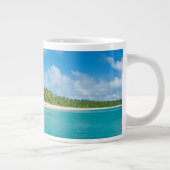 Met palmbomen omzoomd strand, Tonga Grote Koffiekop (Rechts)