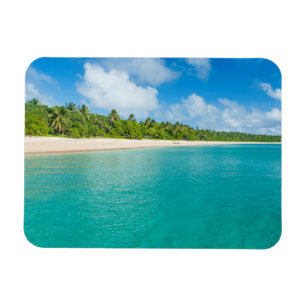 Met palmbomen omzoomd strand, Tonga Magneet