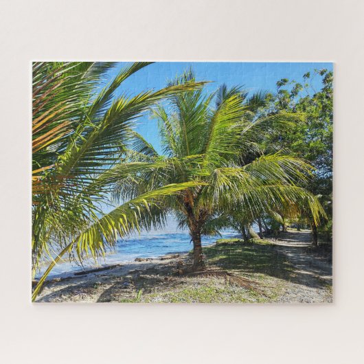 Met Palmen Omzoomd Pad Langs Amatiquebaai Legpuzzel (Horizontaal)