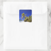 Met palmen omzoomd strand Cook Eilanden 7 Vierkante Sticker (Tas)