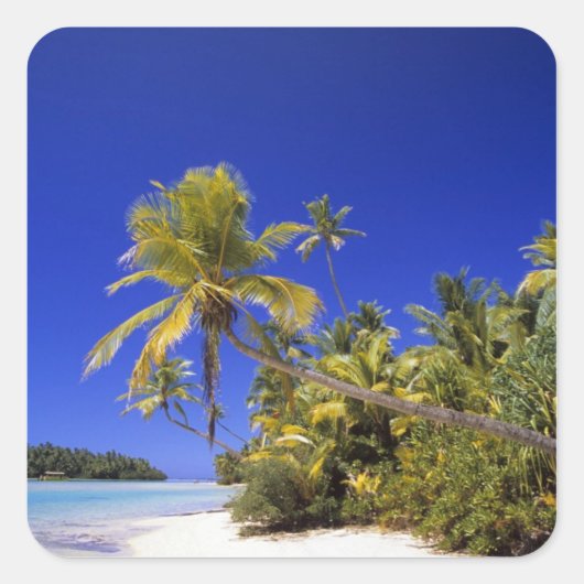 Met palmen omzoomd strand Cook Eilanden 7 Vierkante Sticker (Voorkant)
