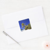 Met palmen omzoomd strand Cook Eilanden 7 Vierkante Sticker (Envelop)