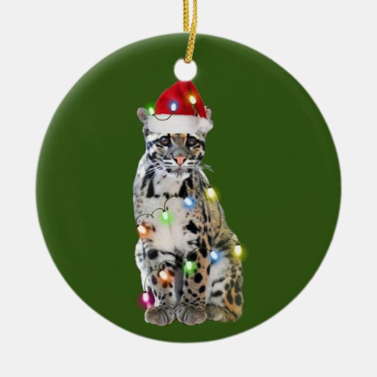 Met Pet verlichte kerstmis Keramisch Ornament (Voorkant)