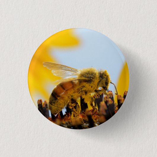 Met polen beklede honingbijen op een zonnebloempit ronde button 3,2 cm (Voorkant)