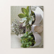 Met Seashell-foto gemorste successen