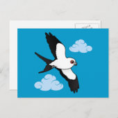 Met slibstaarten besmeurde vlieger briefkaart (Voorkant / Achterkant)