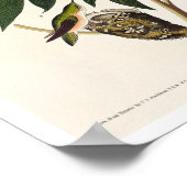 Met slijmvliezen van het Poster van Audubon (Hoek)
