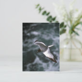 met slikken afgeronde meeuw in het vliegtuig briefkaart (Staand voorkant)