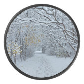 Met sneeuw bedekt park hockey puck (Voorkant)