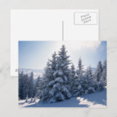 Met sneeuw bedekte bomen en bergen briefkaart (Voorkant / Achterkant)