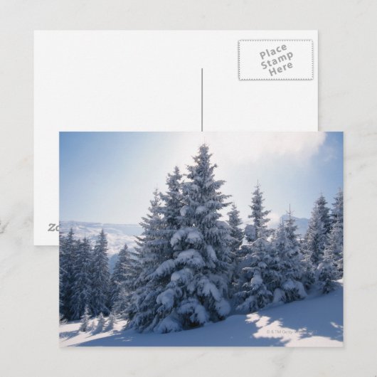 Met sneeuw bedekte bomen en bergen briefkaart (Voorkant / Achterkant)