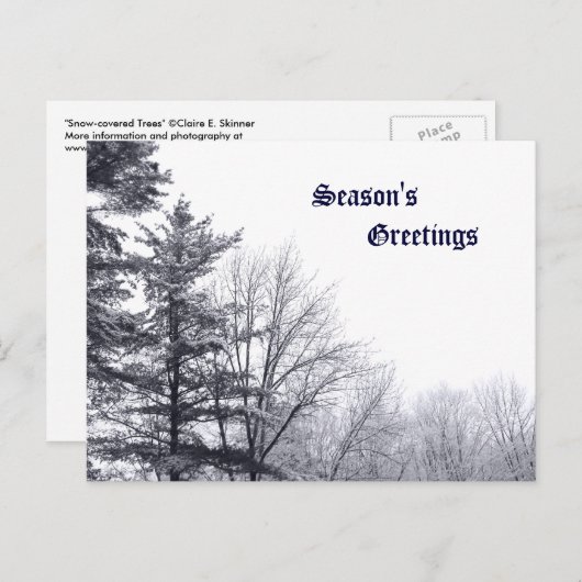 Met sneeuw bedekte bomen: horizontaal briefkaart (Voorkant / Achterkant)