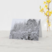 Met Sneeuw Bedekte Bomen Kaart (Gele Bloem)