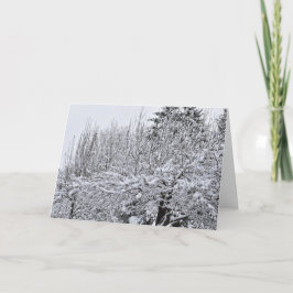 Met Sneeuw Bedekte Bomen Kaart