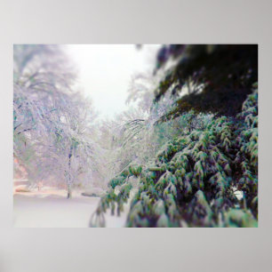 Met sneeuw bedekte bomen, Pine op KC Street Poster