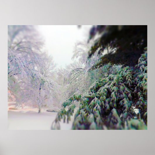 Met sneeuw bedekte bomen, Pine op KC Street Poster (Voorkant)