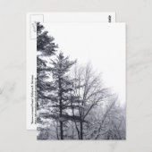 Met sneeuw bedekte bomen: verticaal briefkaart (Voorkant / Achterkant)