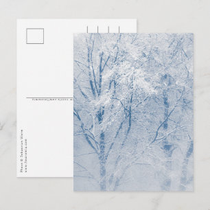 Met sneeuw bedekte bomen Winter Foto Briefkaart