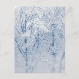 Met sneeuw bedekte bomen Winter Foto Briefkaart