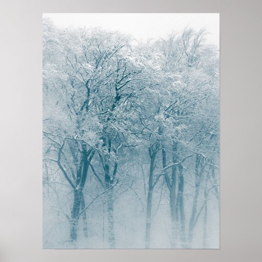 Met sneeuw bedekte bomen Winter Foto Poster (Voorkant)