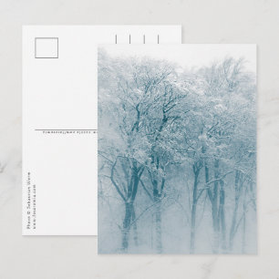 Met sneeuw bedekte bomen Winter Natuur Foto Briefkaart
