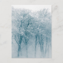 Met sneeuw bedekte bomen Winter Natuur Foto Briefkaart