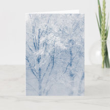 Met sneeuw bedekte bomen Winter Natuur Foto