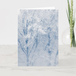 Met sneeuw bedekte bomen Winter Natuur Foto Kaart