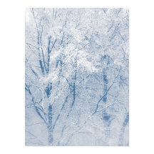 Met sneeuw bedekte bomen Winter Natuur Foto