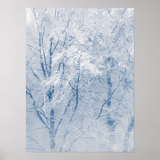 Met sneeuw bedekte bomen Winter Natuur Foto Poster (Voorkant)