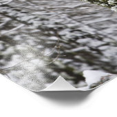 Met sneeuw bedekte boomstammen in de vallei van Yo Foto Afdruk (Hoek)