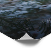 Met sneeuw bedekte dennenboom in het winterbos poster (Hoek)