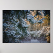 Met sneeuw bedekte dennenboom in het winterbos poster (Voorkant)