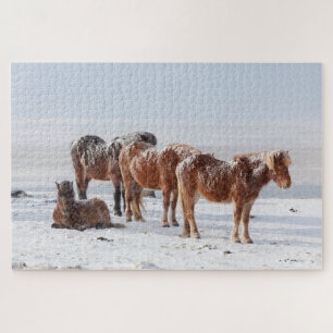 Met sneeuw bedekte IJslandse paarden Legpuzzel
