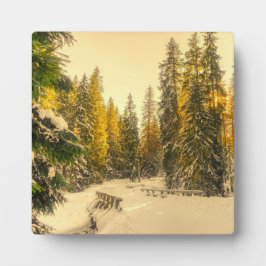 Met sneeuw bedekte pijnbomen Natuur Foto Fotoplaat