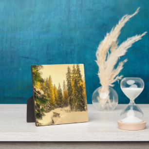 Met sneeuw bedekte pijnbomen Natuur Foto Fotoplaat