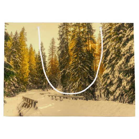 Met sneeuw bedekte pijnbomen Natuur Foto Groot Cadeauzakje (Voorkant)