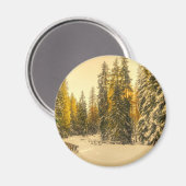 Met sneeuw bedekte pijnbomen Natuur Foto Magneet (Voorkant / Achterkant)