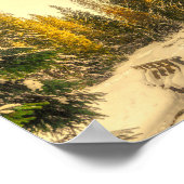 Met sneeuw bedekte pijnbomen Natuur Foto Poster (Hoek)