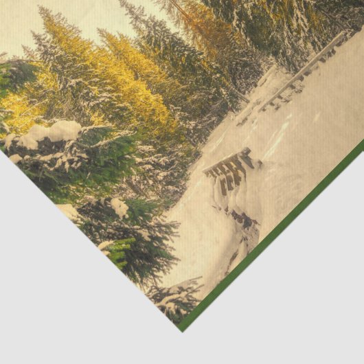 Met sneeuw bedekte pijnbomen Natuur Foto Tissuepapier (Detail)