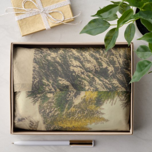 Met sneeuw bedekte pijnbomen Natuur Foto Tissuepapier (Geschenk)