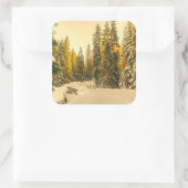 Met sneeuw bedekte pijnbomen Natuur Foto Vierkante Sticker (Tas)