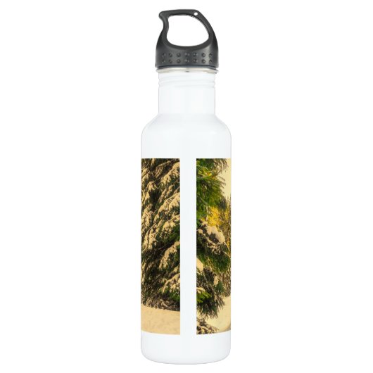 Met sneeuw bedekte pijnbomen Natuur Foto Waterfles (Achterkant)