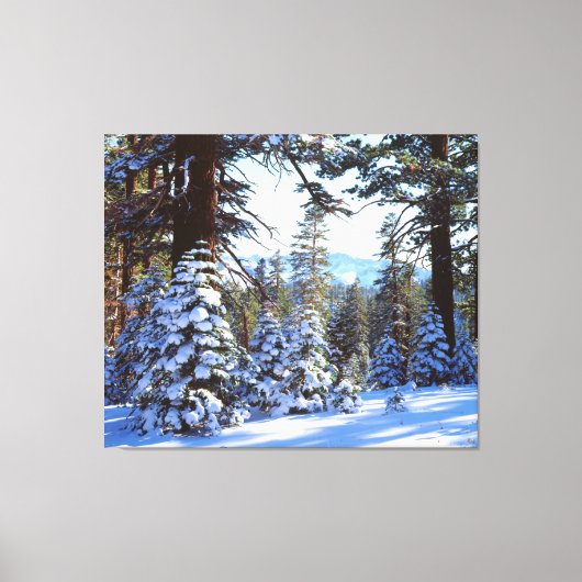 Met sneeuw bedekte rode dennenbomen in de High Sie Canvas Afdruk (Voorkant)