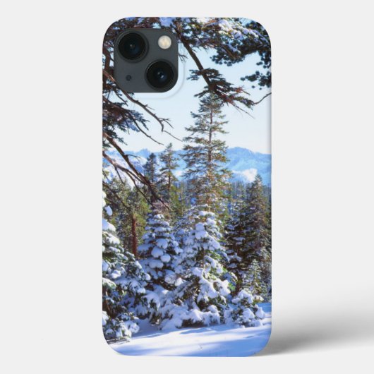 Met sneeuw bedekte rode dennenbomen in de High Sie Case-Mate iPhone Case (Achterkant)