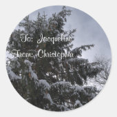 Met sneeuw bedekte sparren Stickers Label (Voorkant)