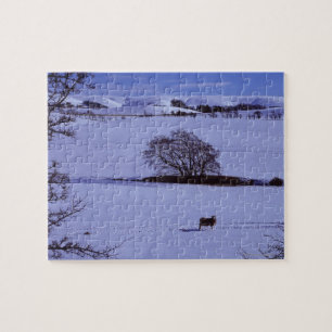 Met sneeuw bedekte velden met schapen legpuzzel