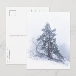 Met sneeuw bedekte winterfoto-Briefkaart Briefkaart