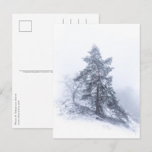 Met sneeuw bedekte winterfoto-Briefkaart Briefkaart