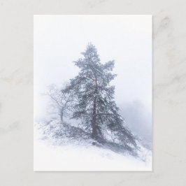 Met sneeuw bedekte winterfoto-Briefkaart Briefkaart